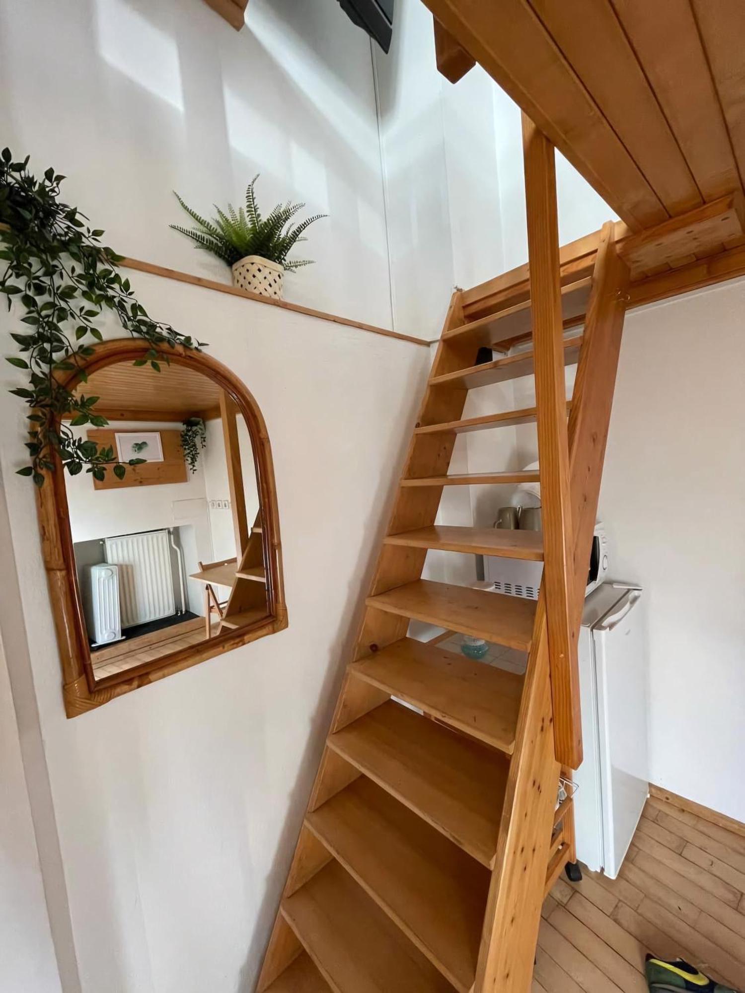 Super Small Micro-treehouse In The Centre Ljubljana
